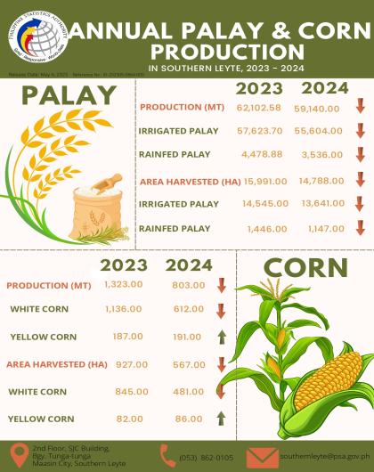 Annual Palay & Corn Production in Southern Leyte: 2023 - 2024