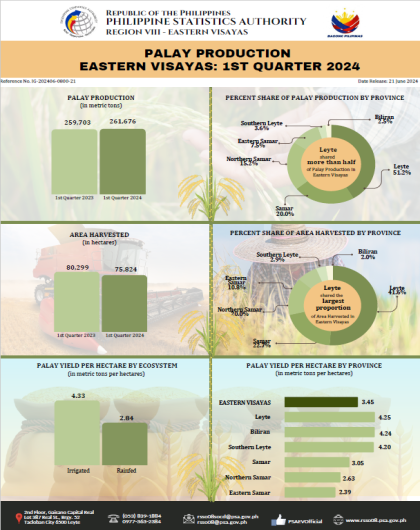 Palay Production Eastern Visayas: 1st quarter 2024