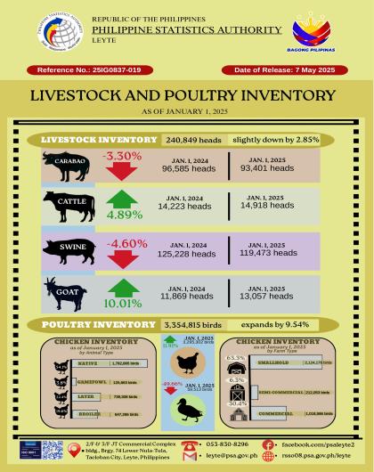 Livestock and Poultry Inventory in Leyte (as of January 1, 2025)