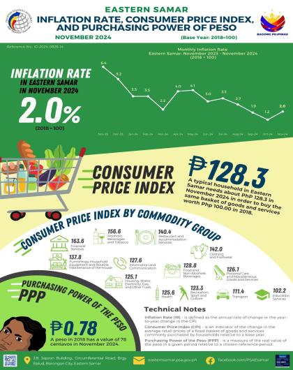 EASTERN SAMAR INFLATION RATE, CONSUMER PRICE INDEX, AND PURCHASING POWER OF PESO NOVEMBER 2024