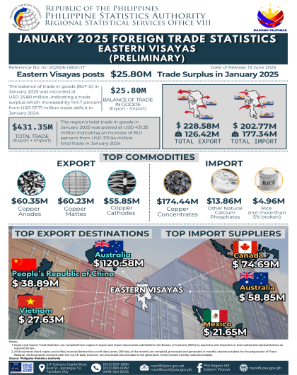 January 2025 Foreign Trade Statistics Eastern Visayas (Preliminary)